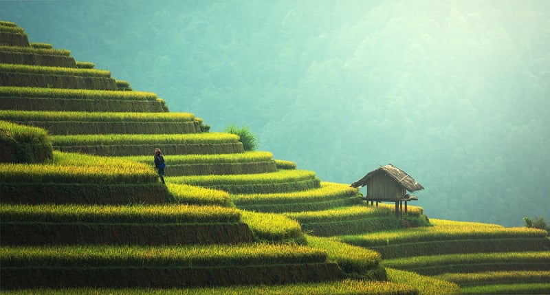 Sustainable Style Ideas